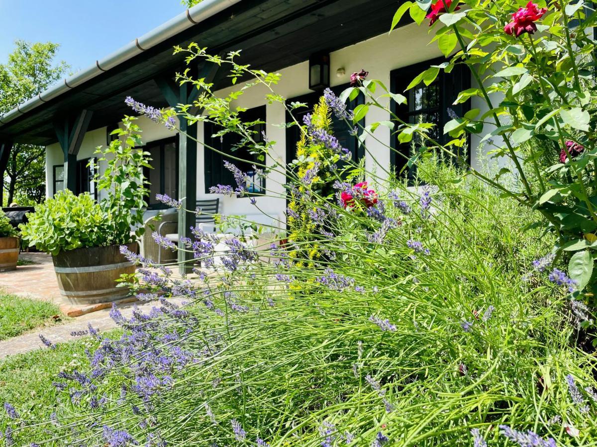 Lelle Vineyard Cottages 巴拉通雷勒 外观 照片